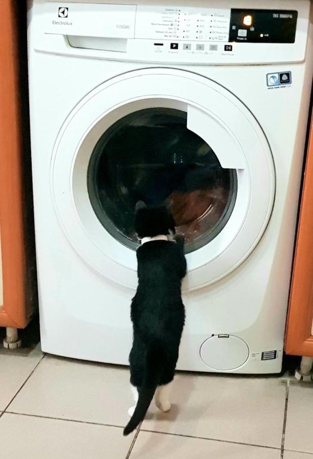 キシナウ タポック ホステルホステル エクステリア 写真